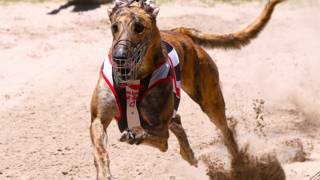 Pop’s trainer makes early Straight Of Origin claims